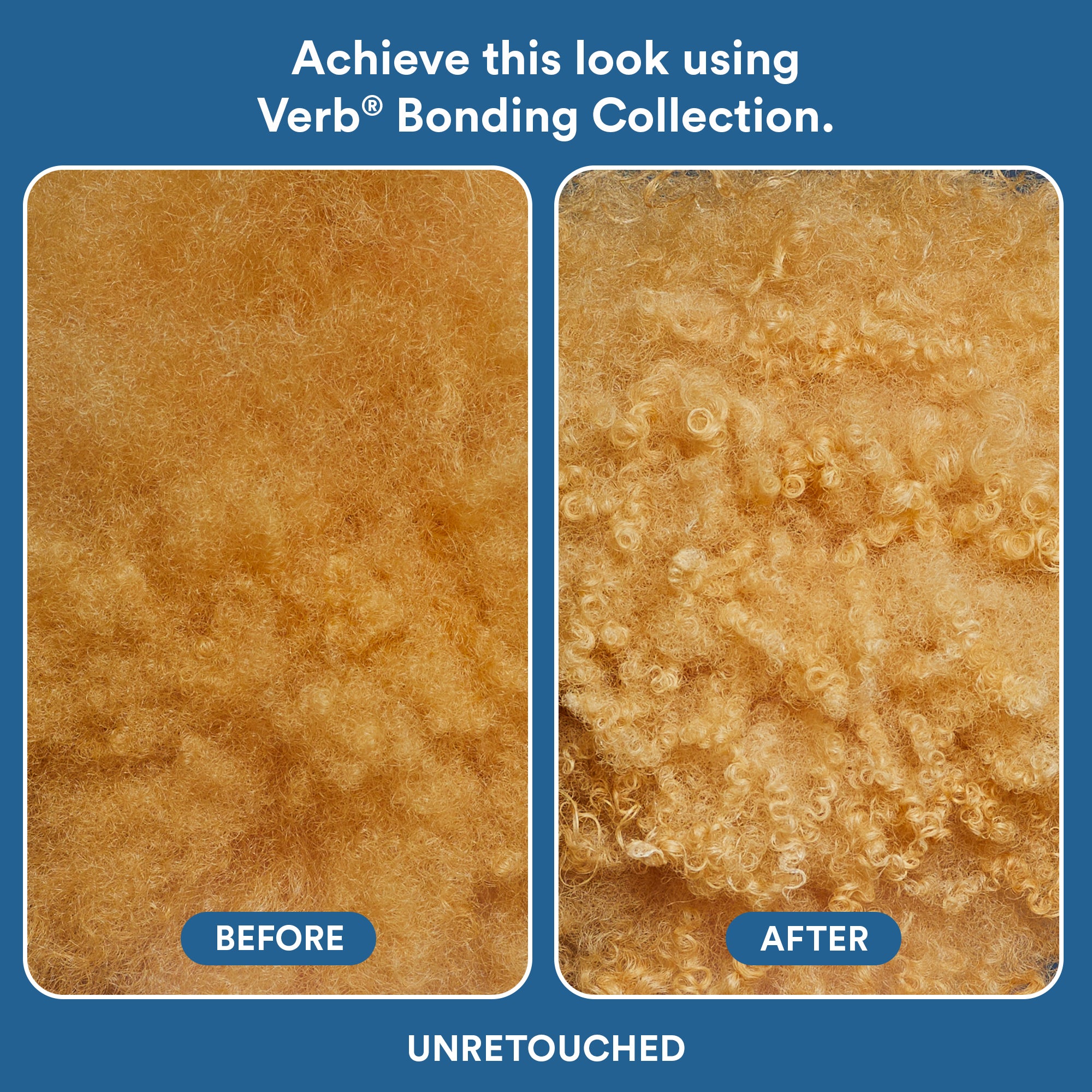 blondes, let’s bond! bundle