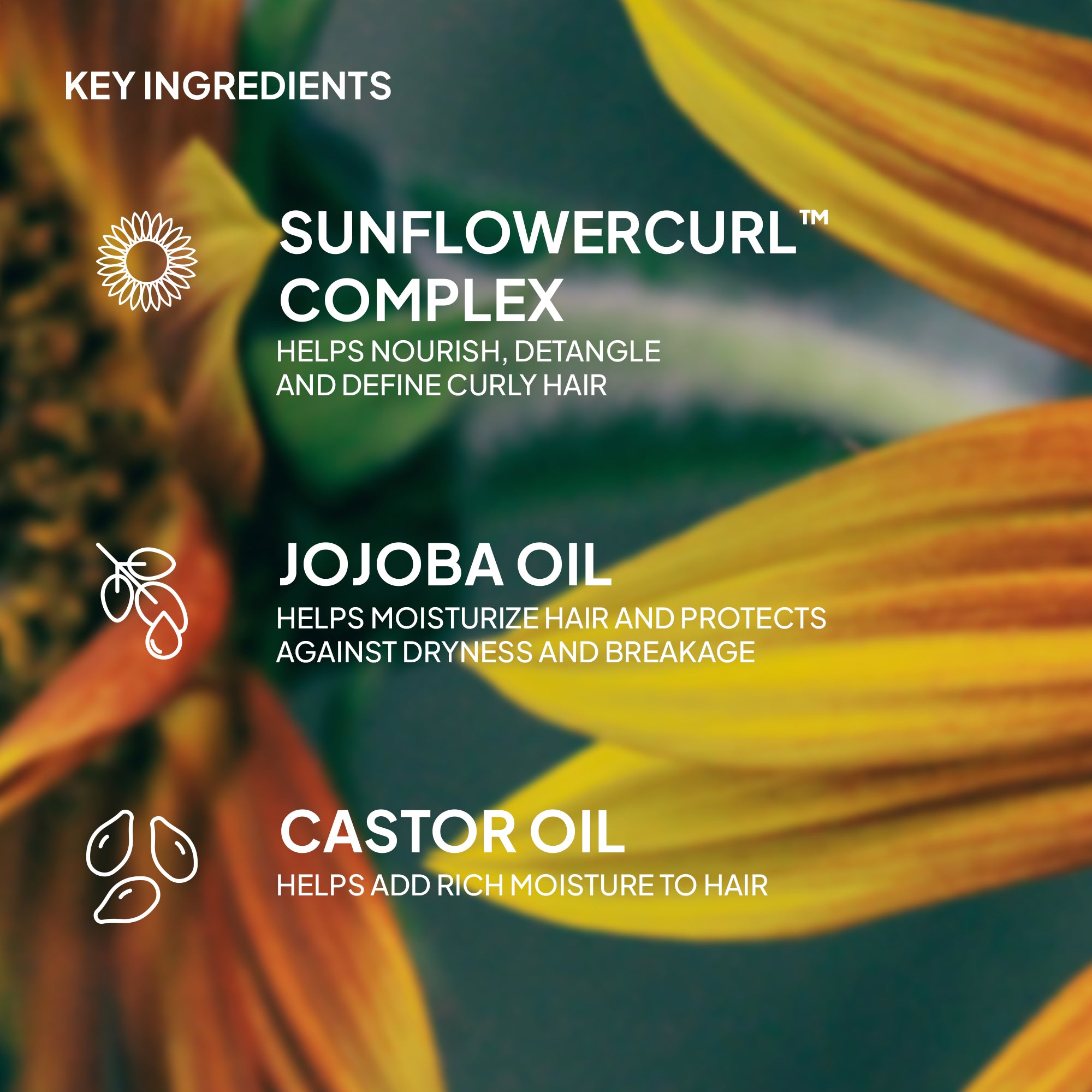 curl defining mask